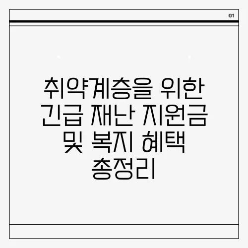 취약계층을 위한 긴급 재난 지원금 및 복지 혜택 총정리