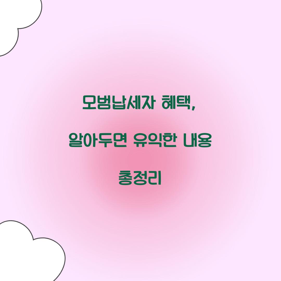 모범납세자 혜택