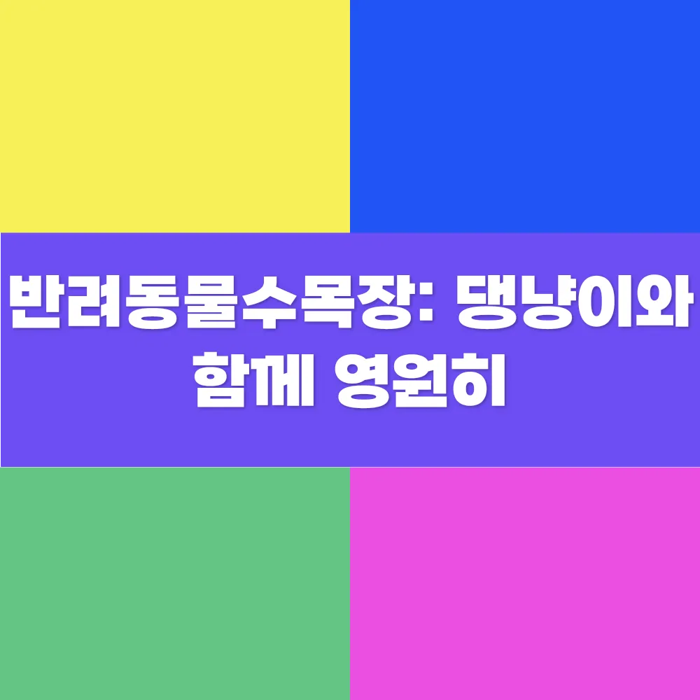 썸네일 이미지