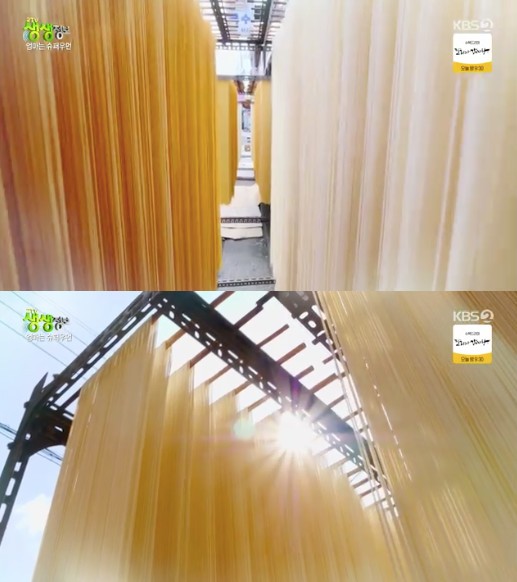 생방송오늘저녁 안양 중앙시장 40년 노포 사위와 함께 반죽부터 면을 뽑고 건조까지 수제 국수 면을 만드는 제면소 생면 맛집 추천