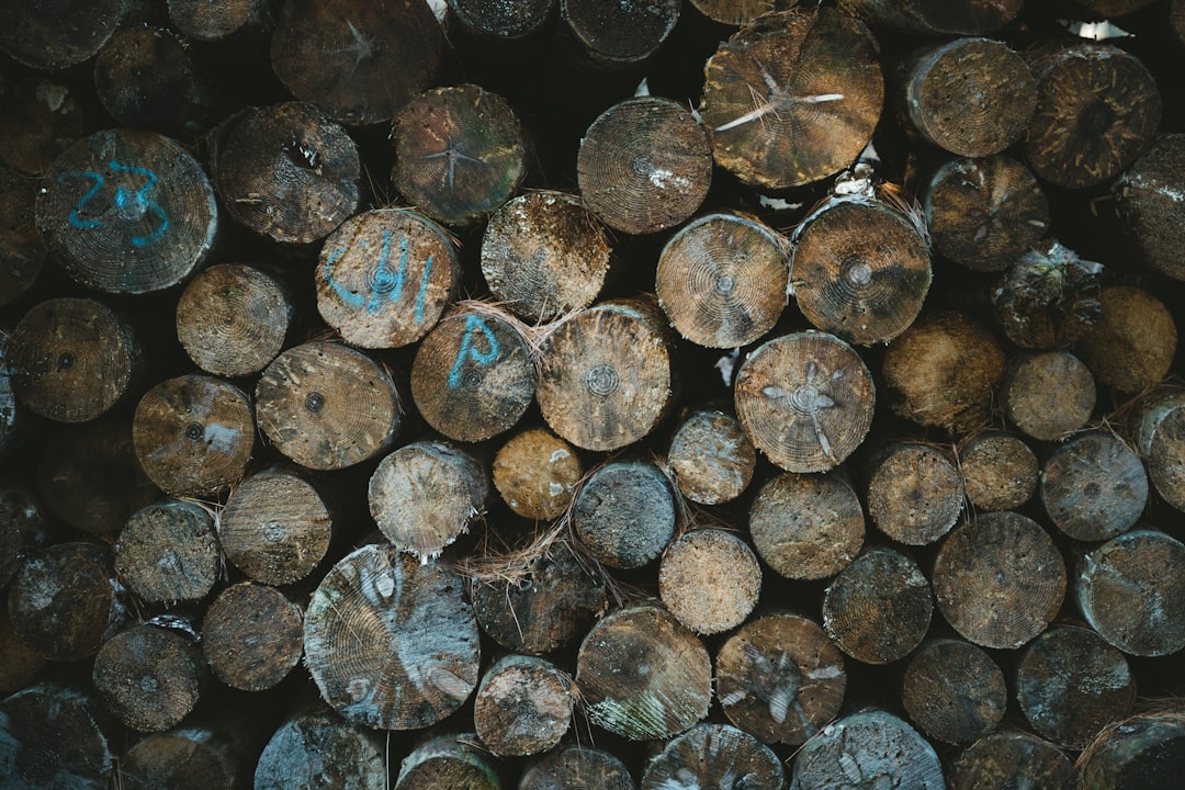 Zinc.