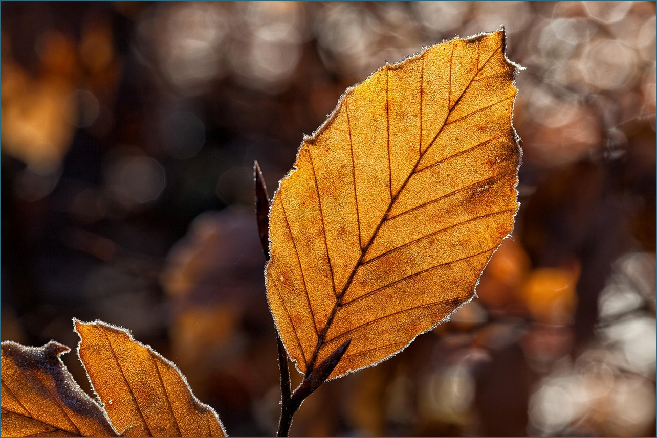 타자연습 바로가기