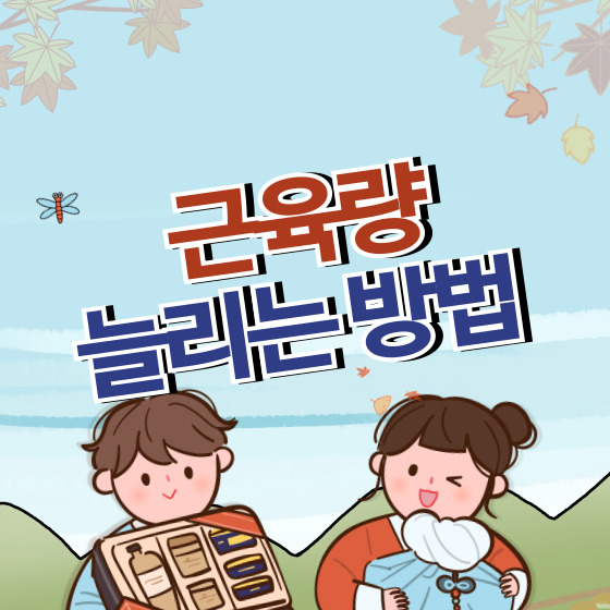 근육량 늘리는 방법