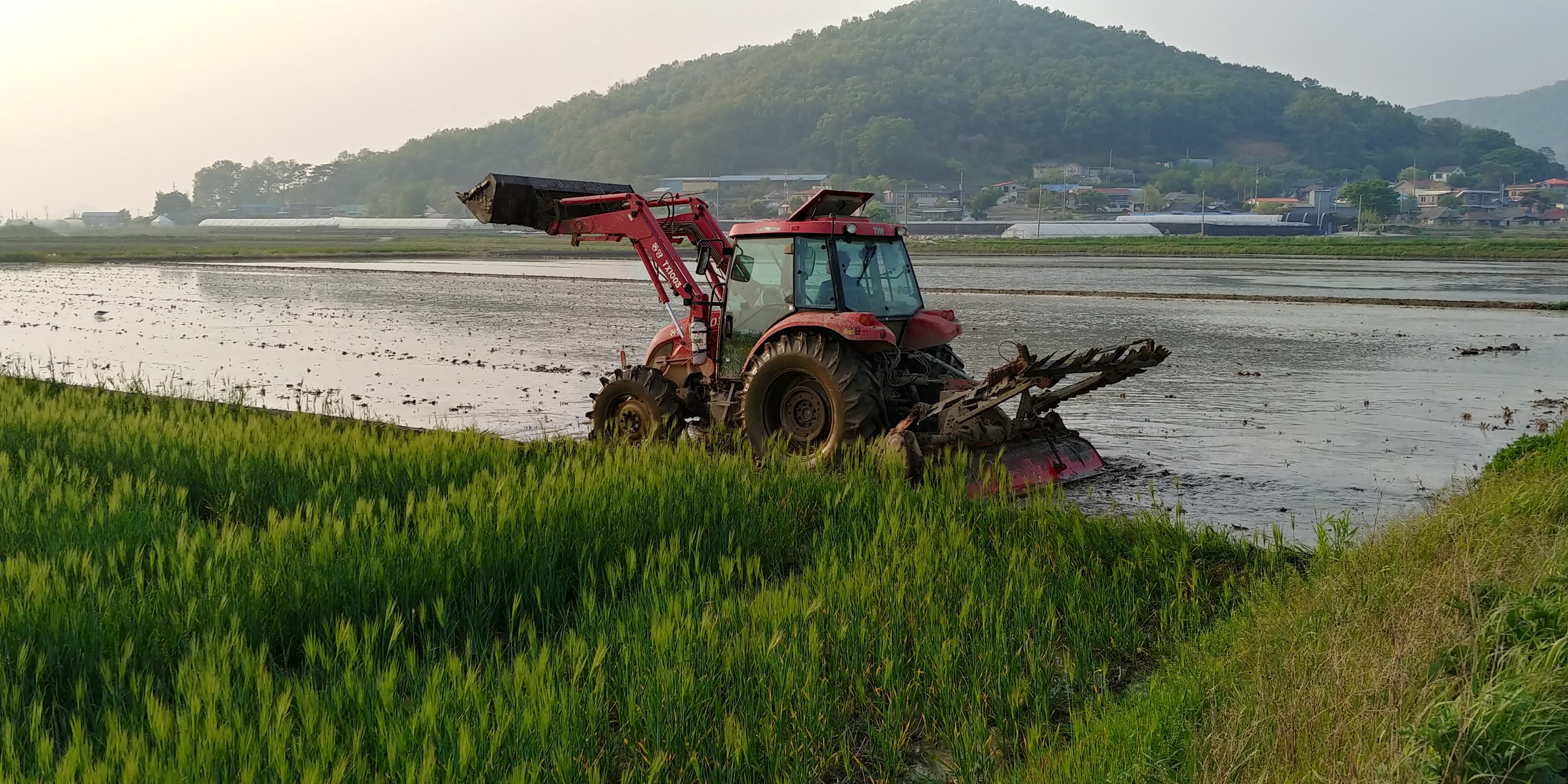 한 해 농사가 결정되는 며칠 &mdash; 영농조합 모내기의 전 과정 1