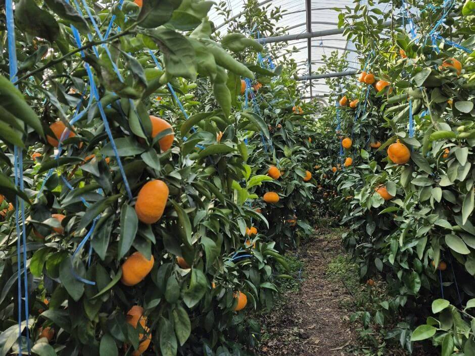 3월 국내 여행지 베스트 10