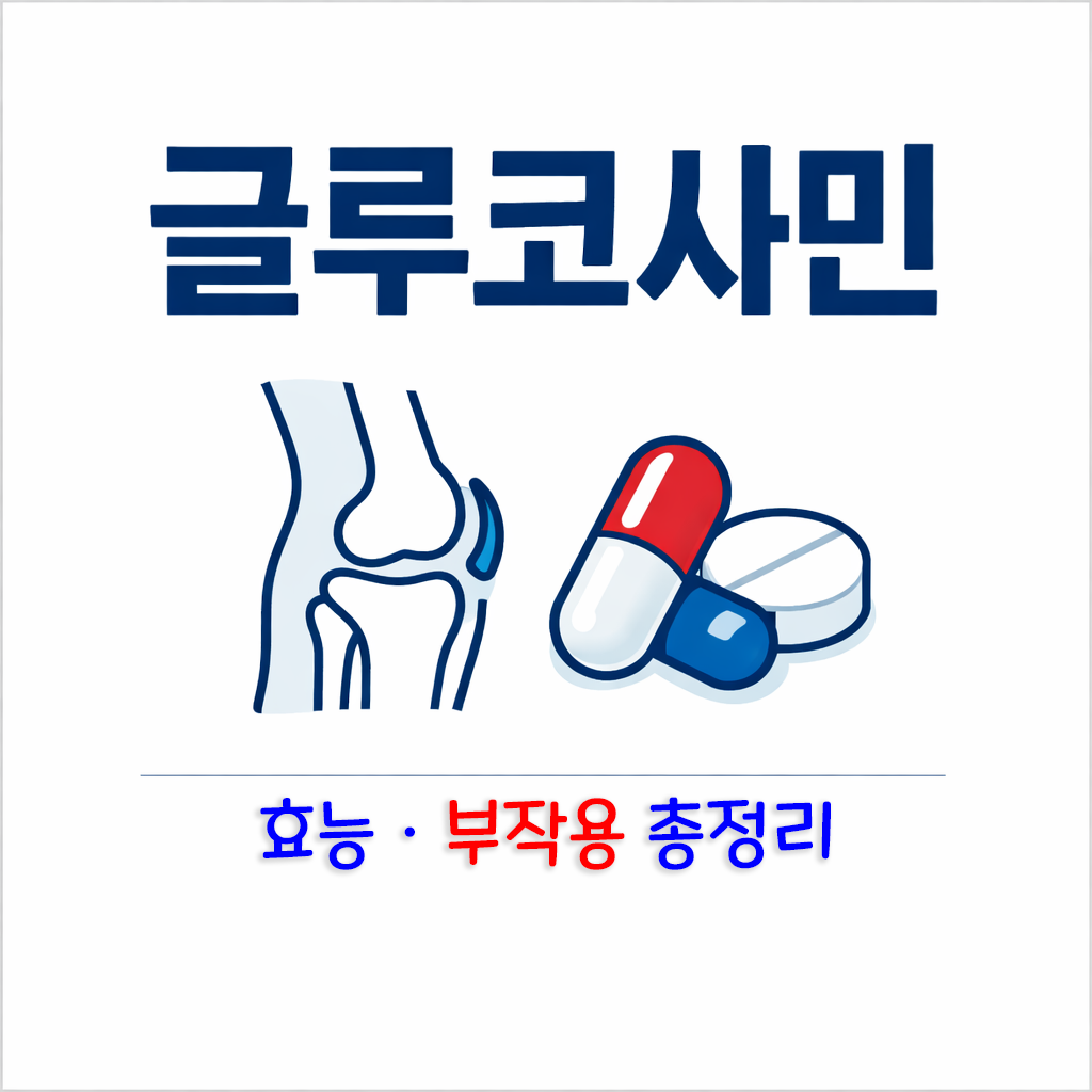 글루코사민의 효능 부작용 먹기 전 꼭 알아야 할 7가지 체크
