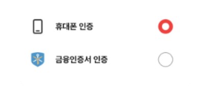 휴대폰 인증, 금융인증서 인증