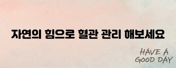 혈관을 깨끗하게! 매일 먹는 자연 혈관 청소 음식 TOP5