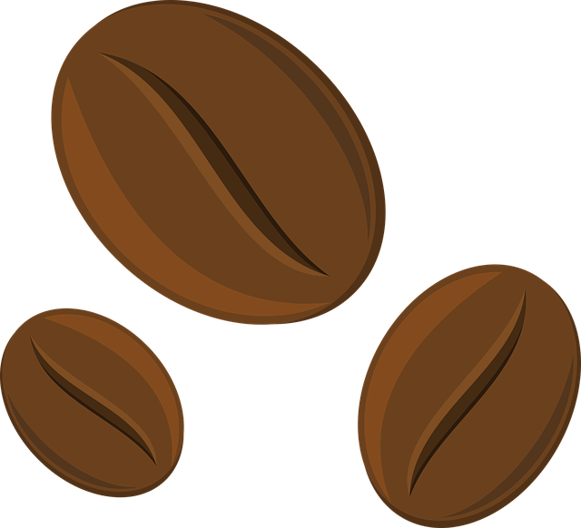 부산커피쇼 2025 사진