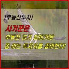 썸네일 이미지-부동산경기침체와 부동산사기꾼