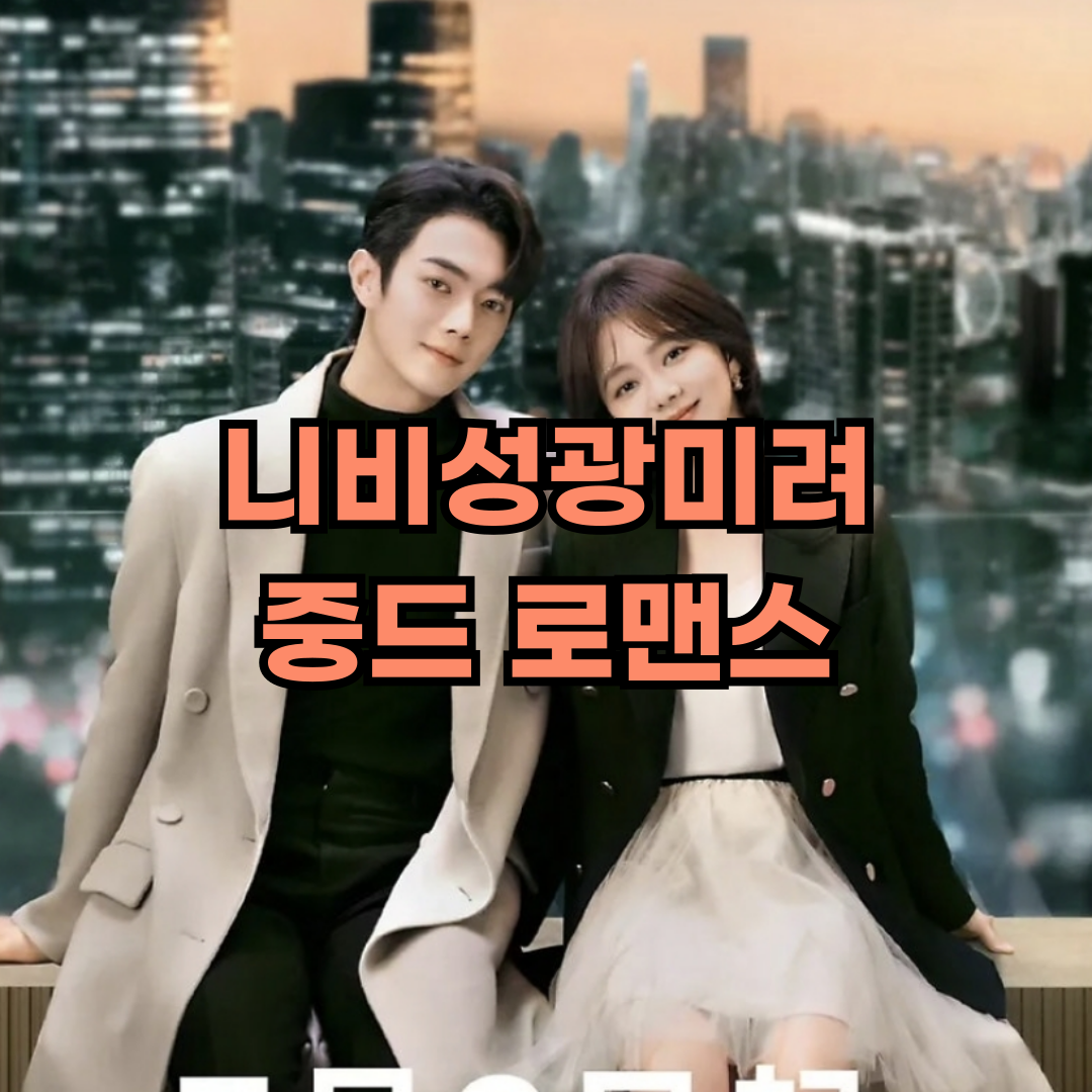 니비성광미려 중드 로맨스
