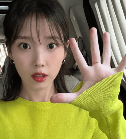 아이유 법적 대응