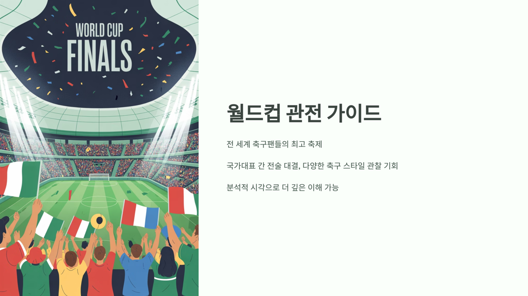 월드컵 관전 가이드