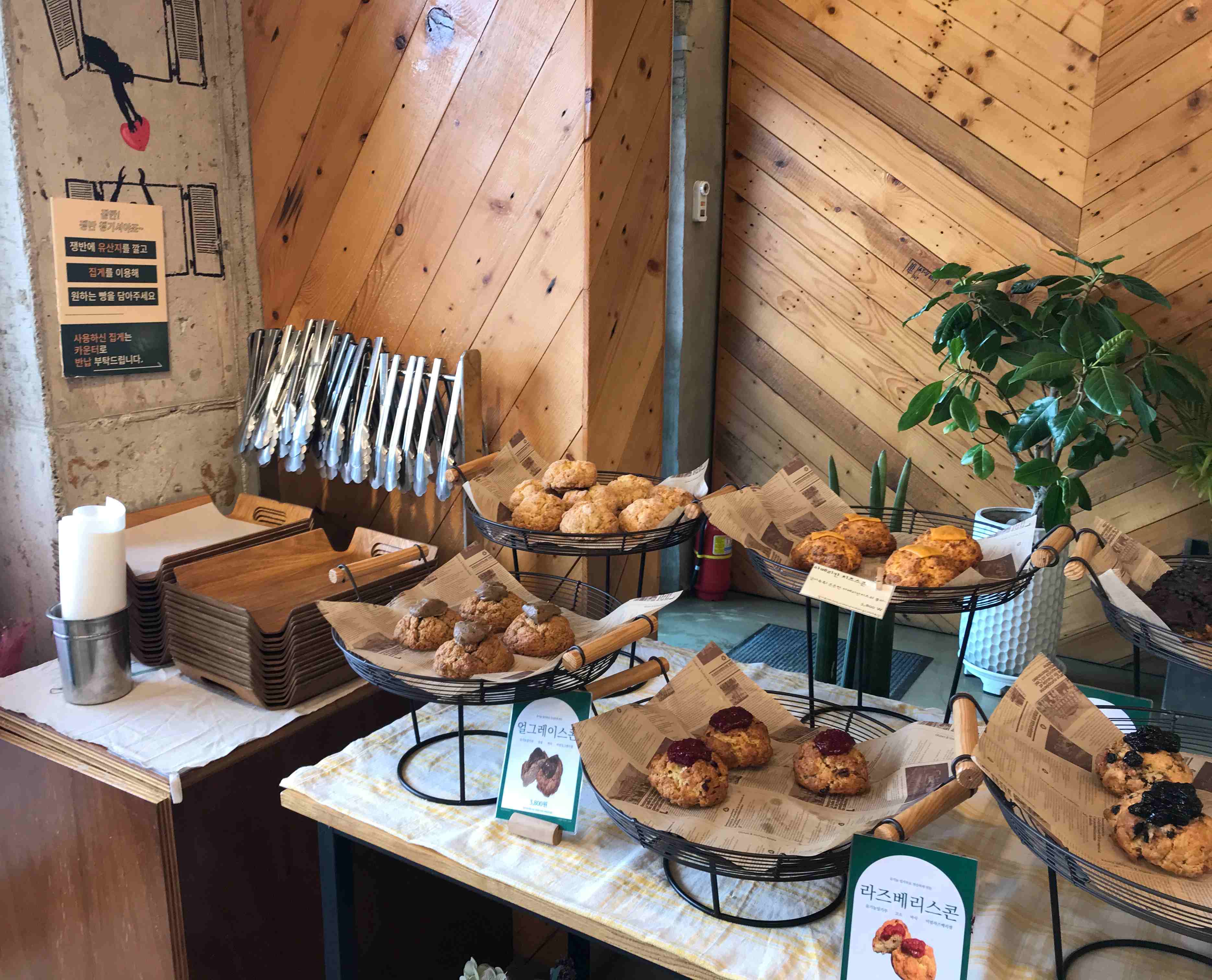 스콘 진열된 모습