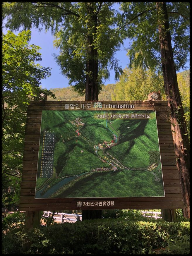 장태산 자연휴양림 가을 단풍 명소, 예약 방법과 필수 확인 사항