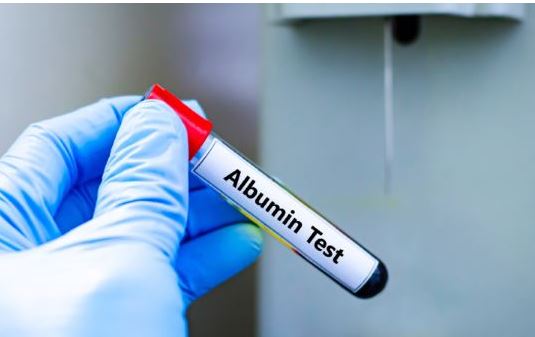 알부민의효능-효과