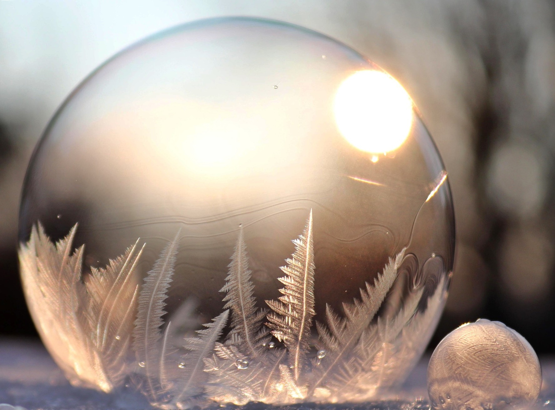 소변과 거품뇨는 신장이 보내는 가장 솔직한 경고!