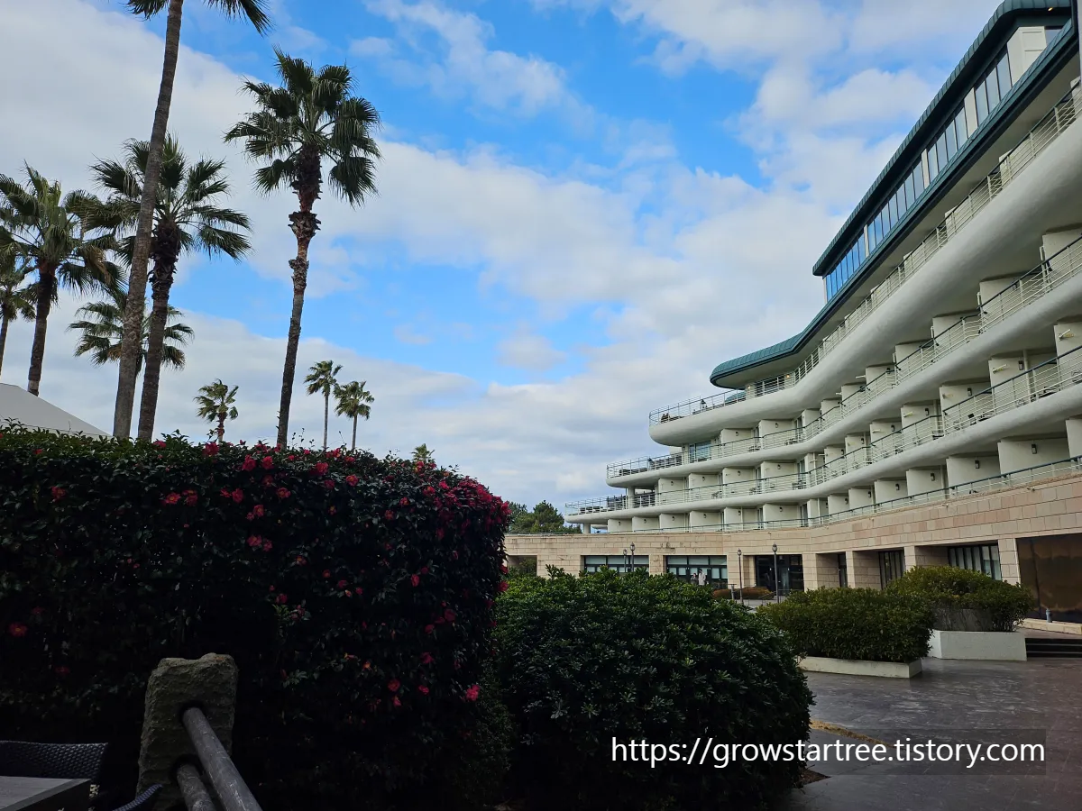 그랜드조선 제주 호텔 디럭스 스탠다드뷰 트윈룸