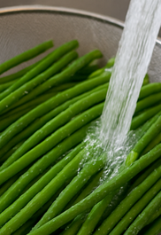 마늘쫑볶음볶음 황금레시피