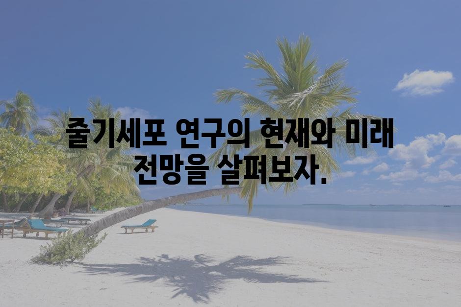 샘플 (79)