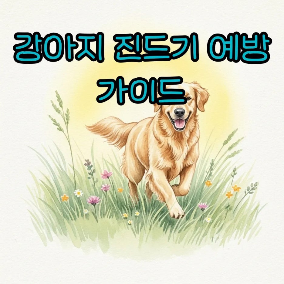 따뜻한 햇살 아래 풀밭을 달리는 강아지의 모습