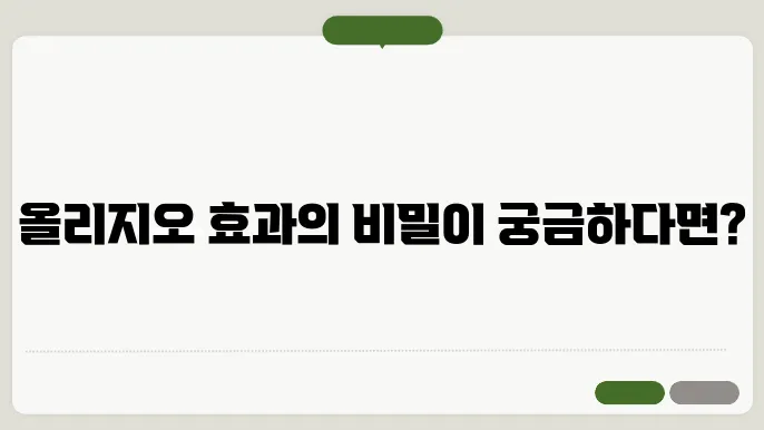 올리지오 효과시기