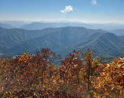 축령산 절경