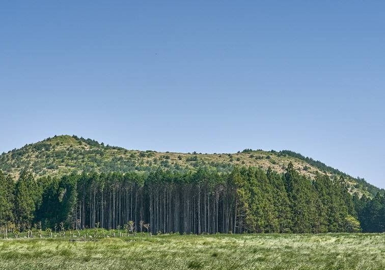 제주 중간에 위치한 안돌오름