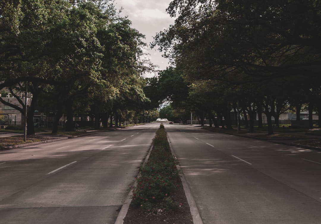 Avenue