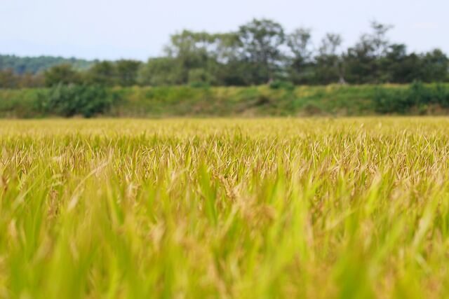 지역별 귀농 정착지원금 신청&amp;#44; 귀농 교육 사이트