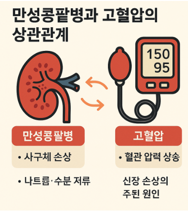 만성콩팥병과 고혈압의 상호관계와 관리 전략