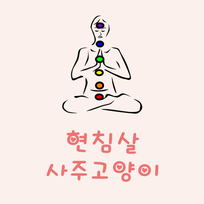 현침살이란