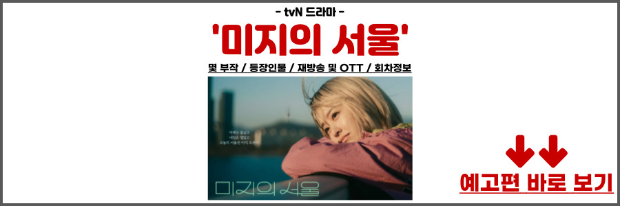 미지의 서울