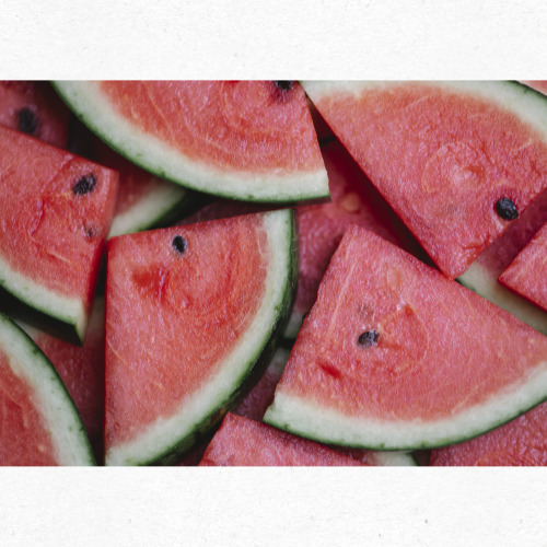 이취나 점액감 발생 시 수박을 폐기하는 안전 수칙