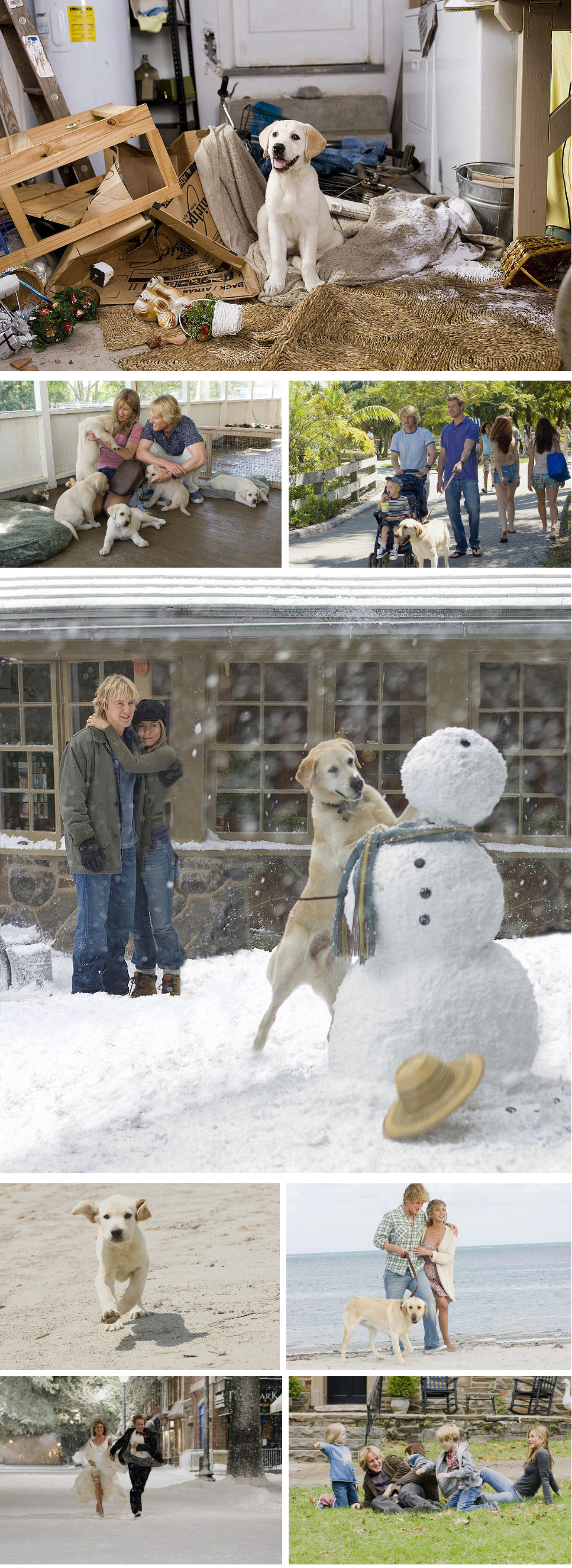 말리와 나 이미지들