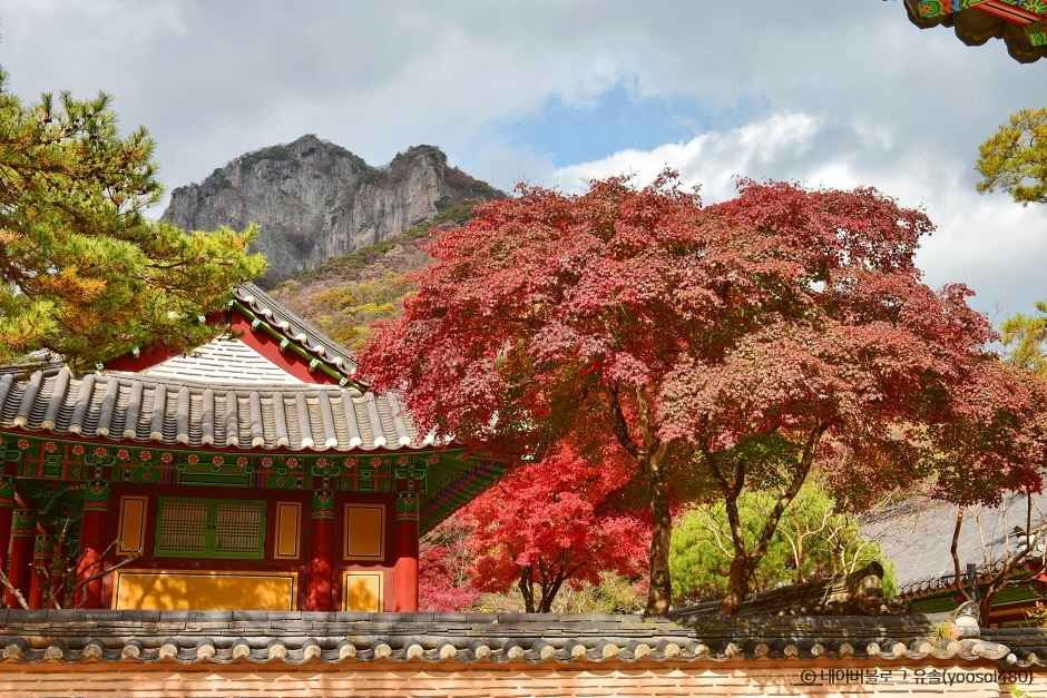 장성 가볼만한곳 베스트 10