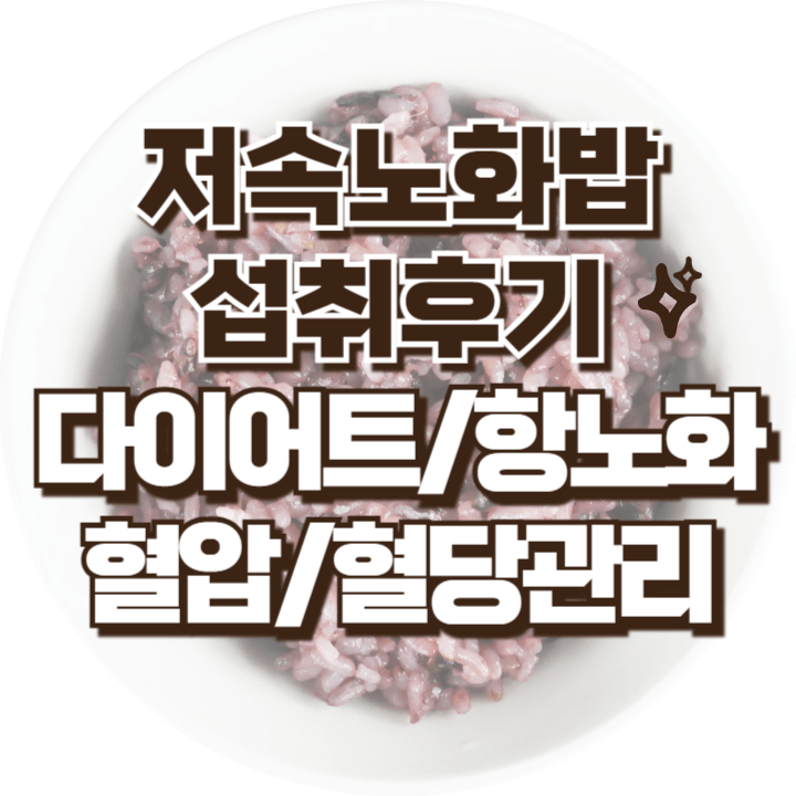 저속노화밥 후기