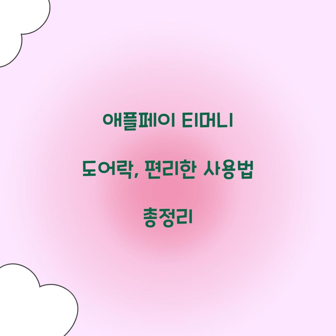 애플페이 티머니 도어락