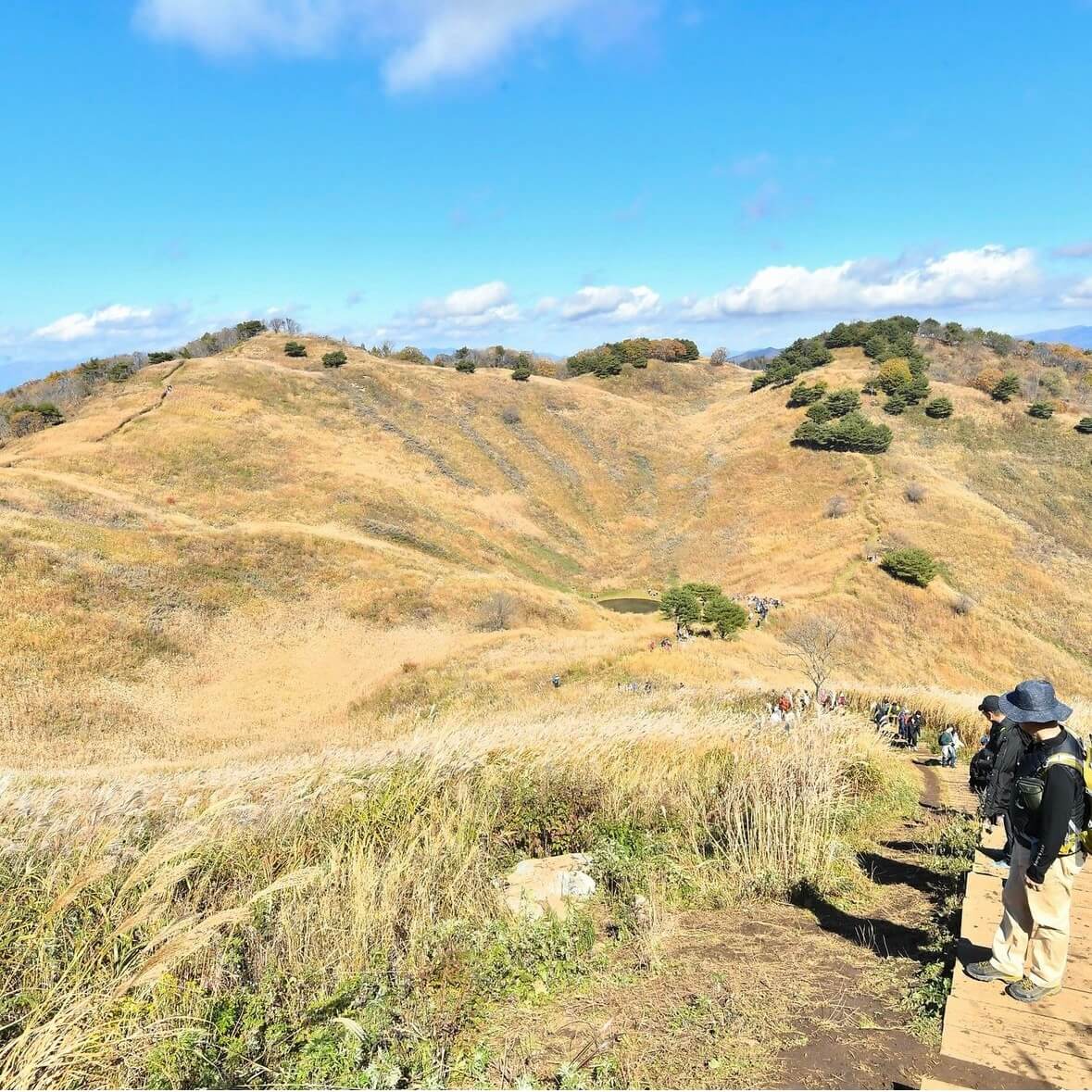 민둥산 억새꽃축제