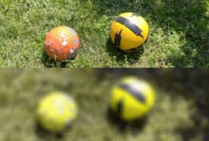 개의 눈 카메라.