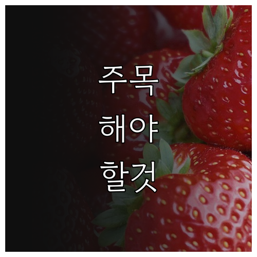 TV수신료 2025년 면제! 국가유공..