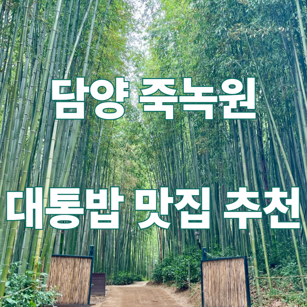 담양 죽녹원 대통밥 맛집