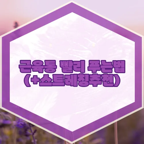 근육통 빨리 푸는법 (+스트레칭추천)