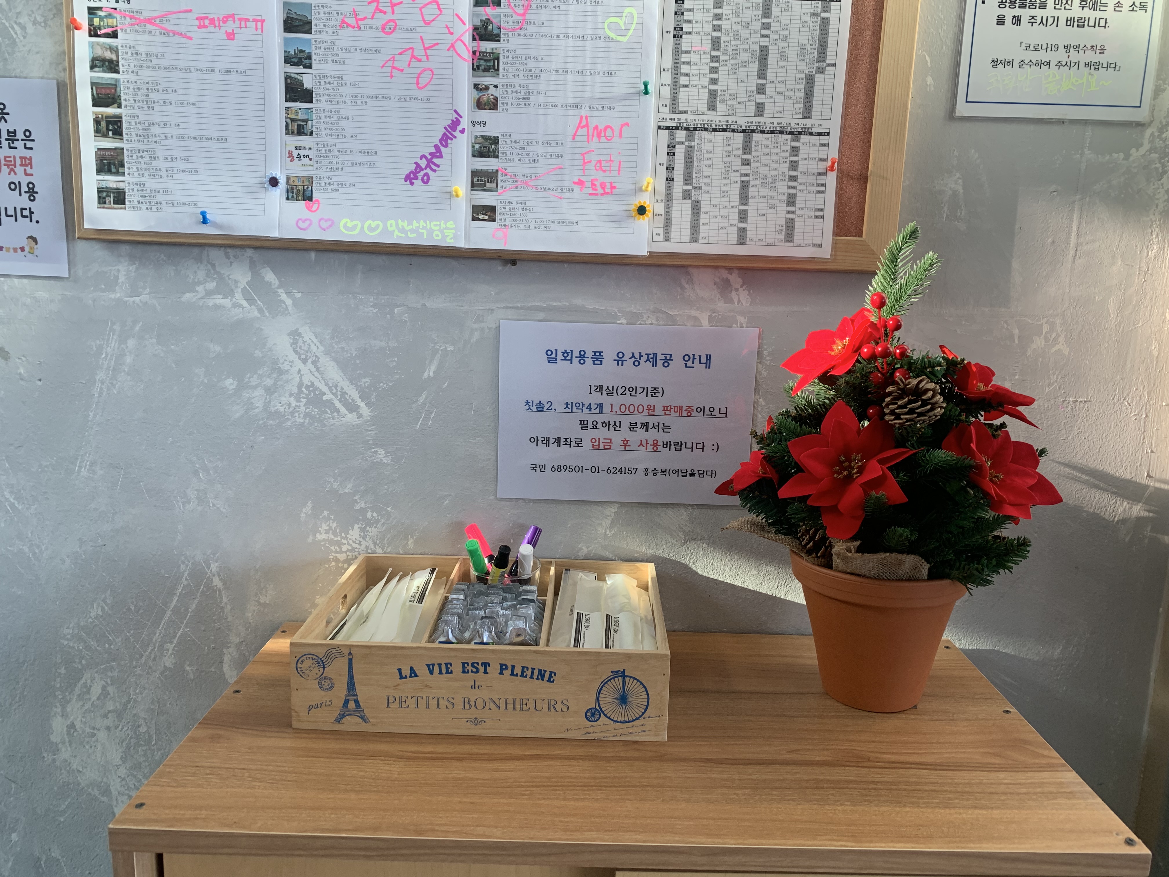 묵호 오션뷰 숙소 어달을담다 후기🌊 통창뷰에 청결까지 완벽한 펜션 추천!