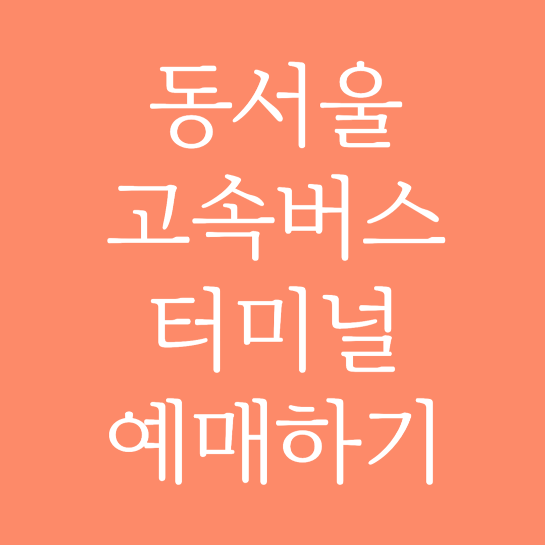 동서울 실시간 고속버스터미널 시간표 조회 및 예매하기