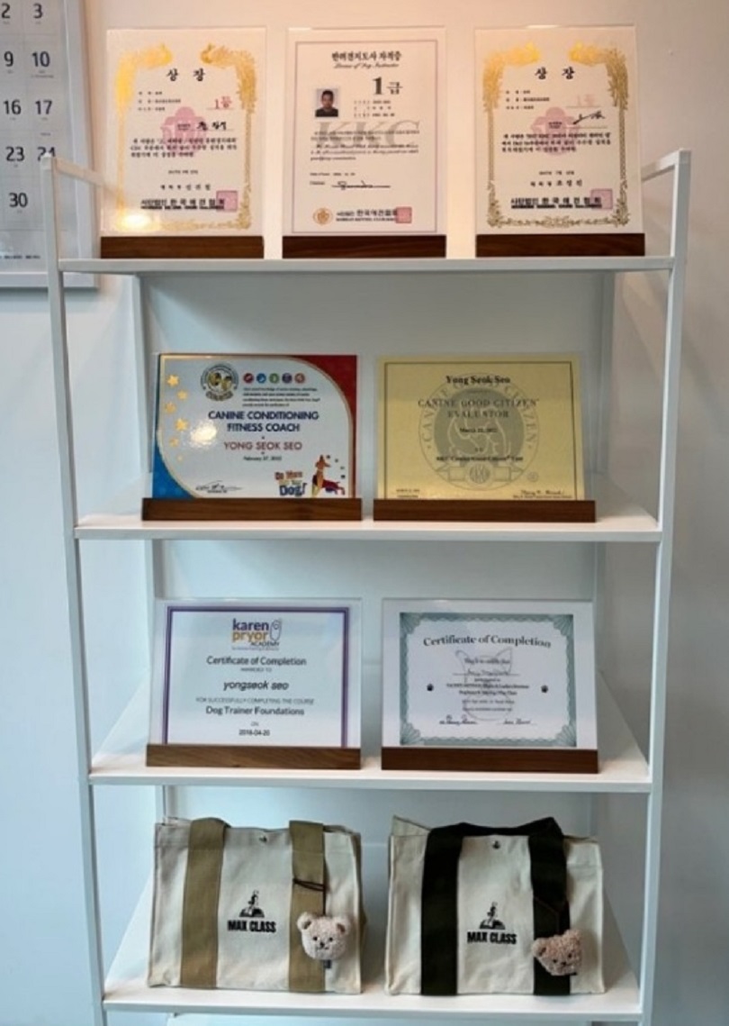 애견유치원-선생님-달인