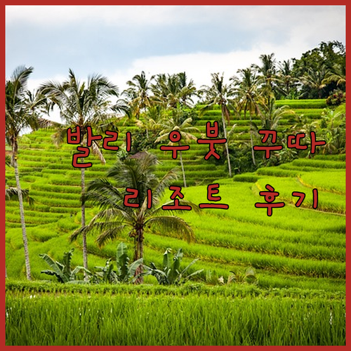 발리 우붓과 꾸따의 매력.. 더 웨스