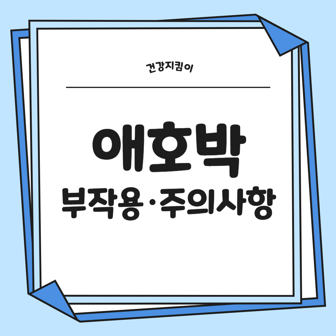 애호박 효능과 부작용 영양성분 고르는법 칼로리