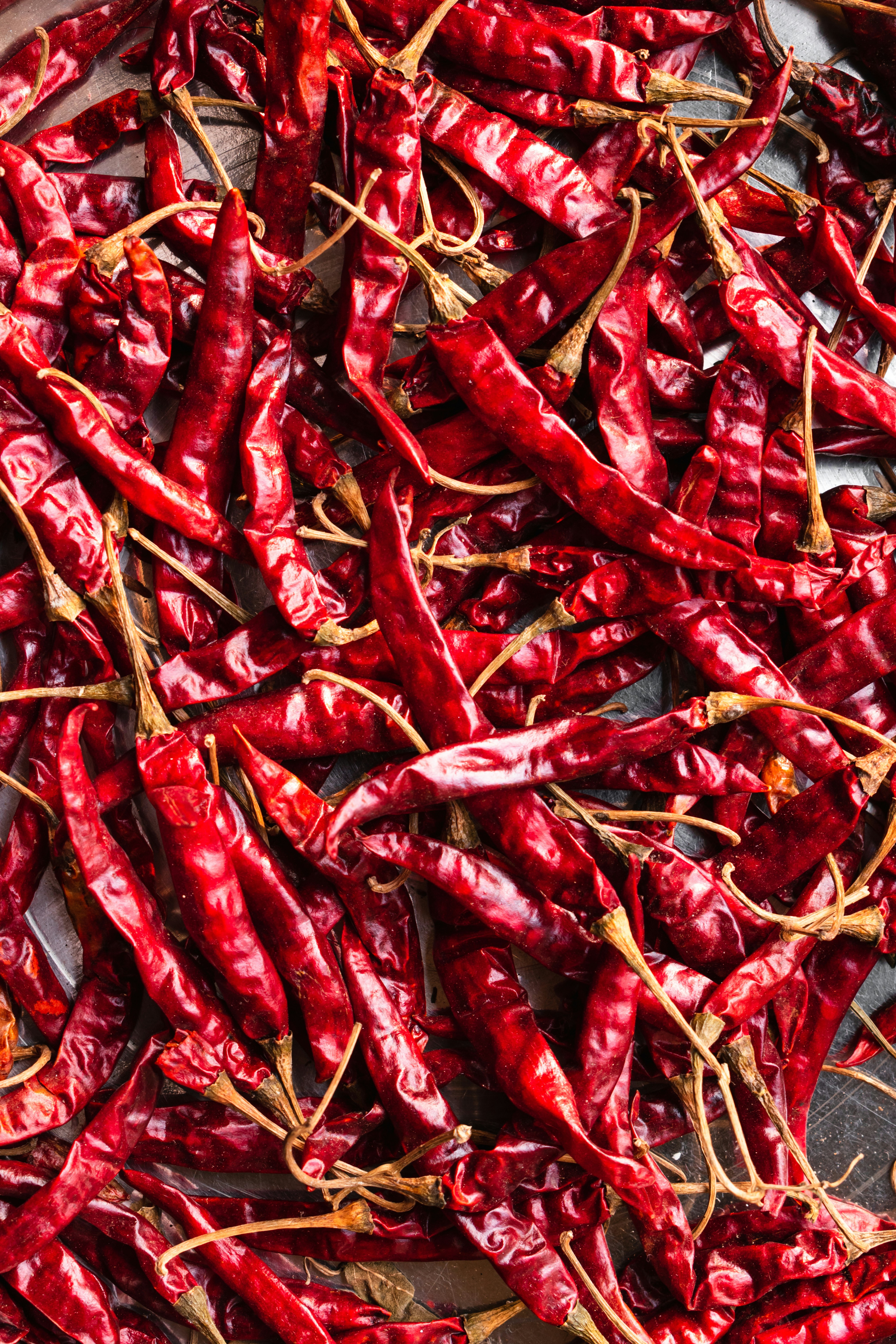 매운 고추 사진