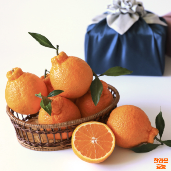 한라봉 효능│한라봉 효능 알고 드세요!